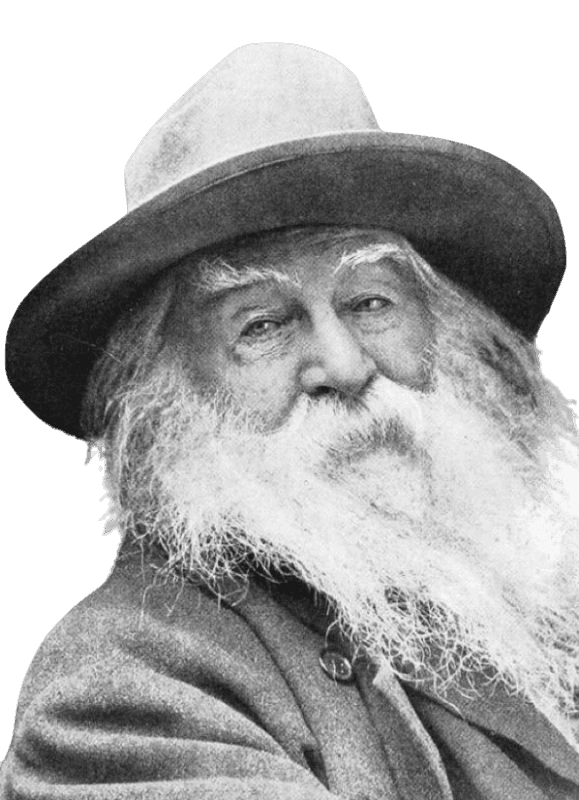 Walt Whitman - cursopedias.com